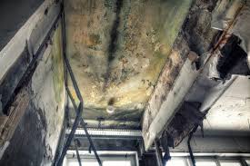 Mold Removal for HVAC Installations in Clinton, WI